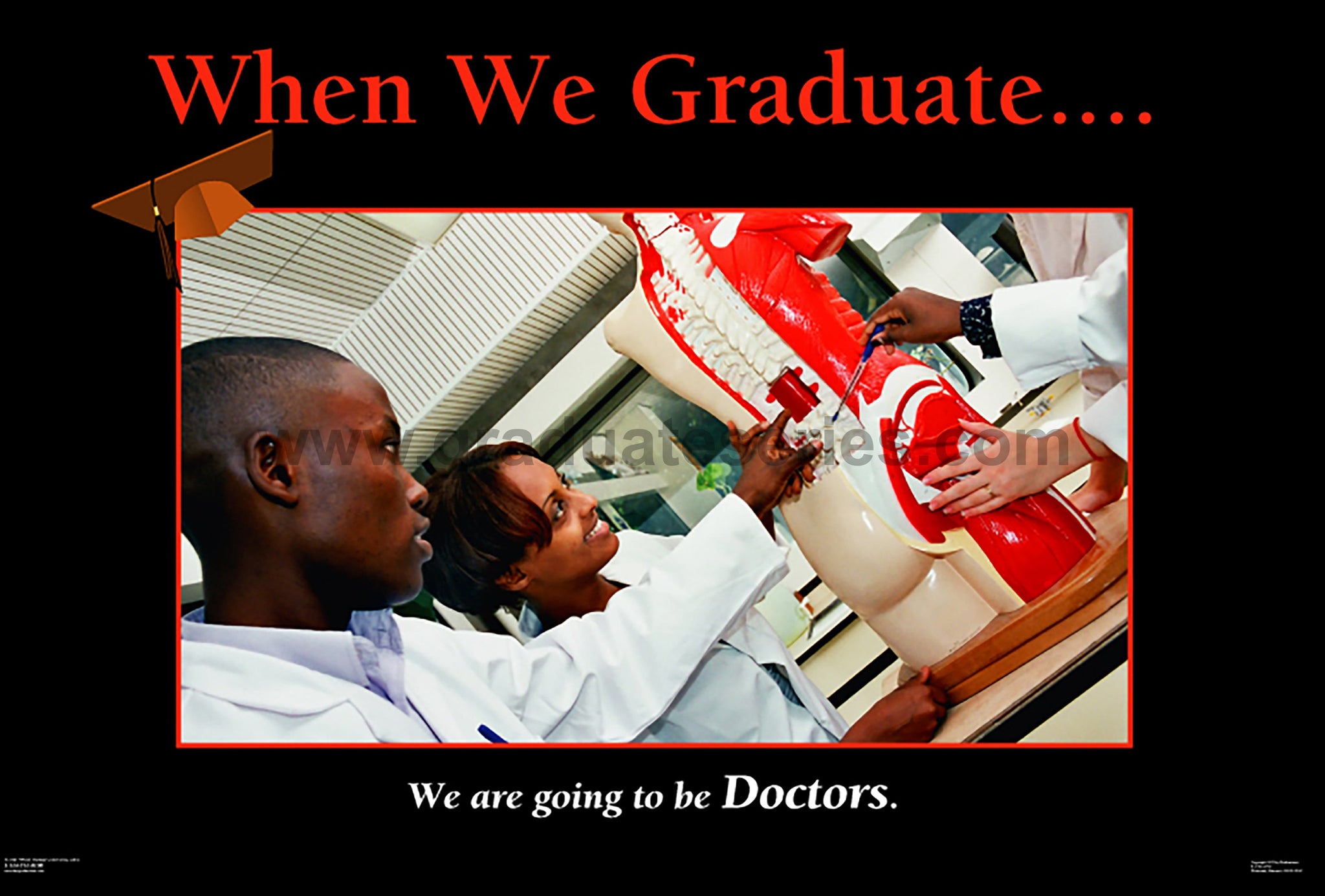 When We Graduate.......We are going to be Doctors-(24" x 36" Unframed Print)